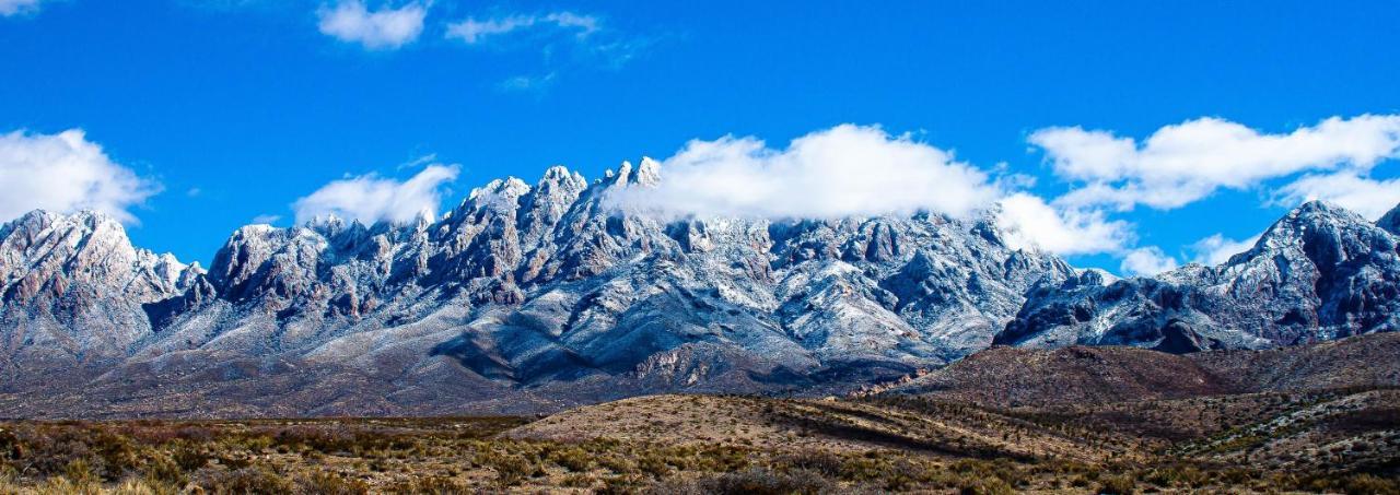 The Perfect Place . . . Here It Is! Las Cruces Εξωτερικό φωτογραφία